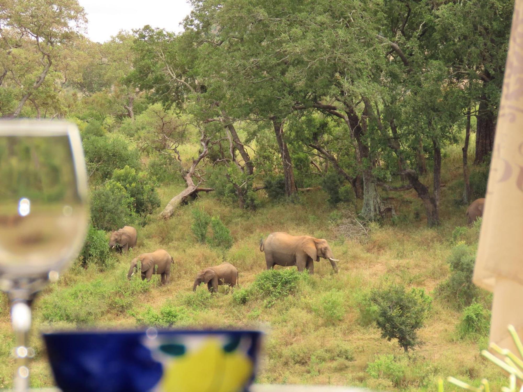 Hennie'S Rest Hotell Malalane Rum bild